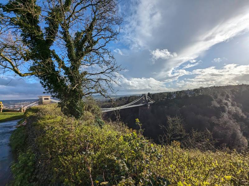 Bristol_National_Trust_Leigh_Woods_2