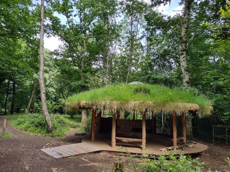Bristol_National_Trust_Leigh_Woods_5