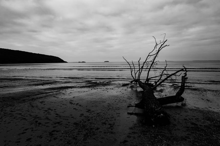 Bristol_Sand_Bay_Beach_4