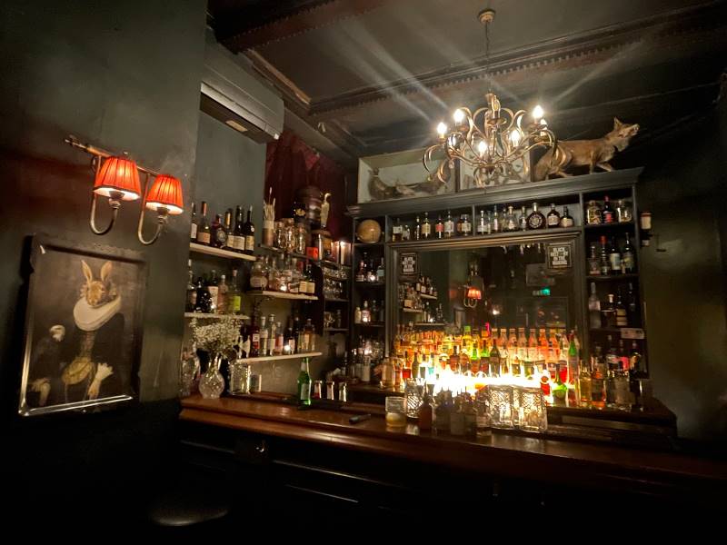 Bristol_The_Milk_Thistle_6