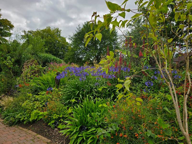 Bristol_University_of_Bristol_Botanic_Garden_10