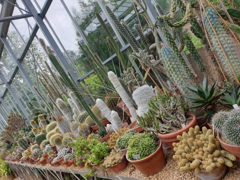 Bristol_University_of_Bristol_Botanic_Garden_3