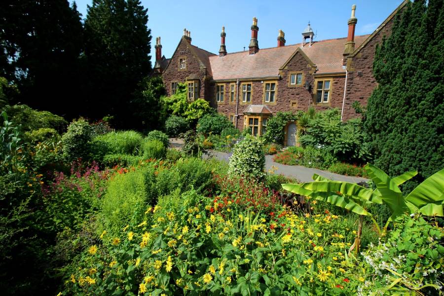 Bristol_University_of_Bristol_Botanic_Garden_6