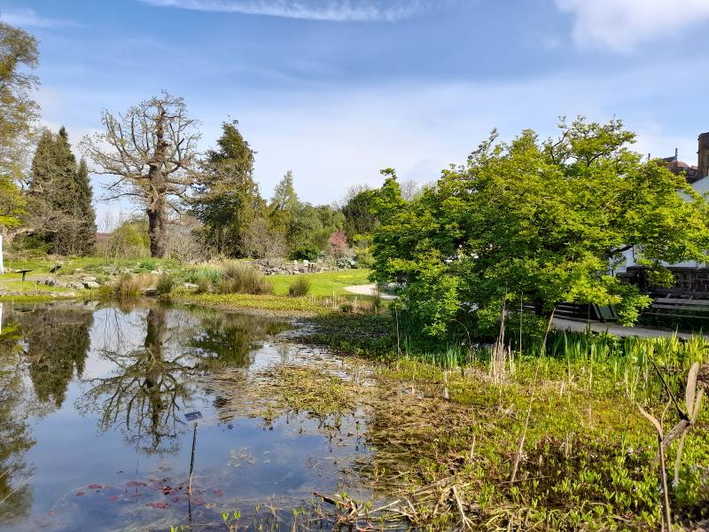 Bristol_University_of_Bristol_Botanic_Garden_7