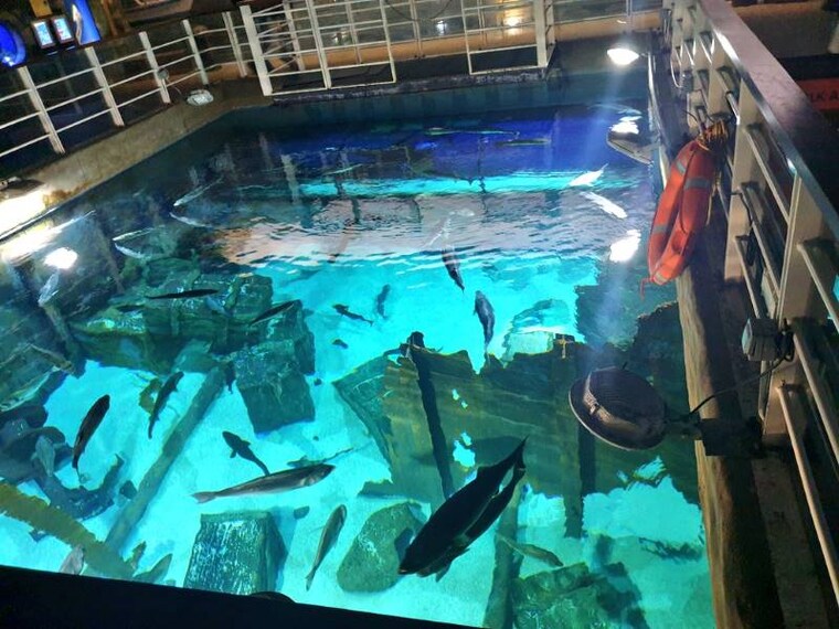 Bristol_Aquarium_9