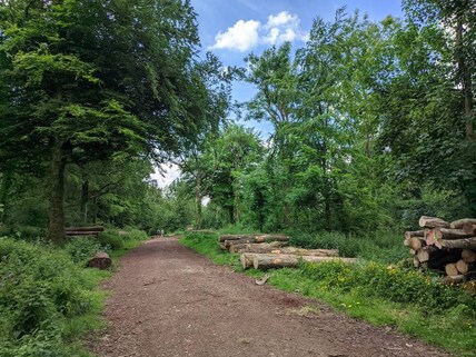 Ashton Hill Plantation