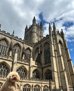 Bath Abbey