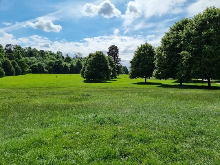 Bristol_Blaise_Museum_5