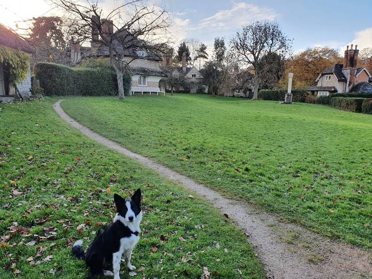 Bristol_Blase_Hamlet_4