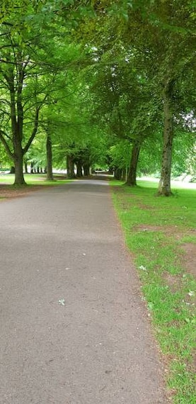Bristol_Clifton_Down_5