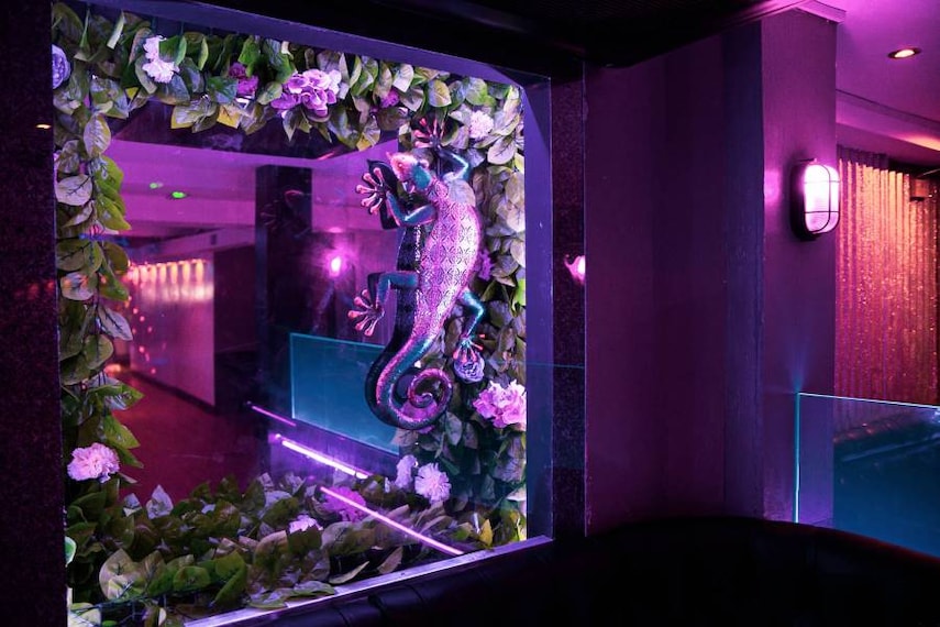 Bristol_Lizard_Lounge_3