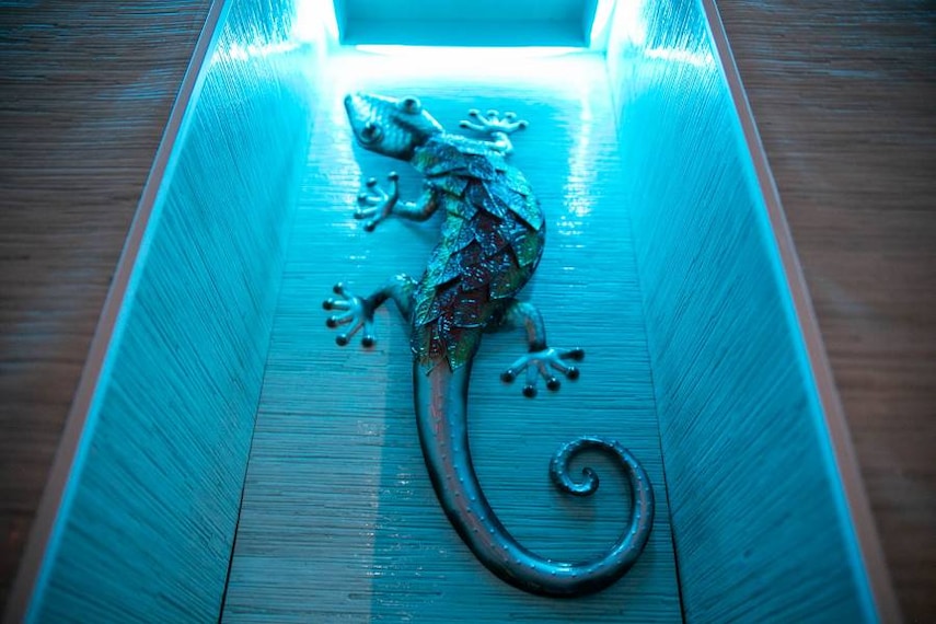 Bristol_Lizard_Lounge_5