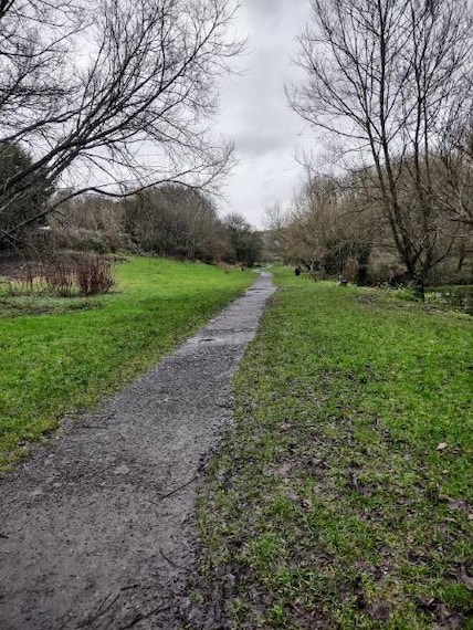 Bristol_Magpie_Bottom_2