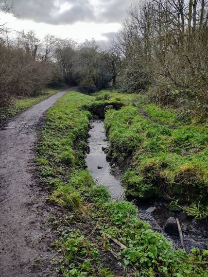 Bristol_Magpie_Bottom_6