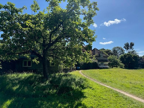 Blase Hamlet