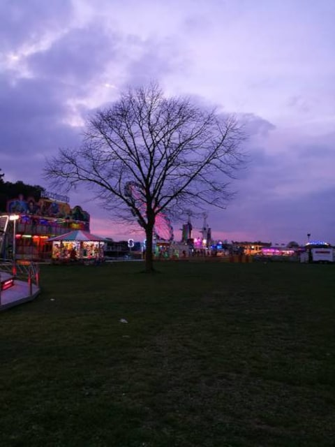 Clifton Down