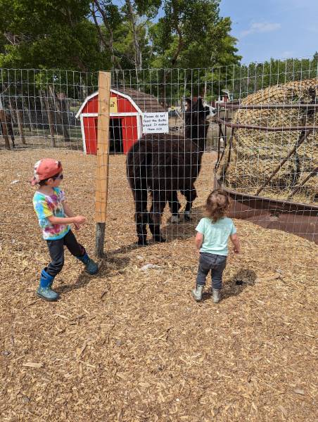 Calgary_Butterfield_Acres_Petting_Farm_4