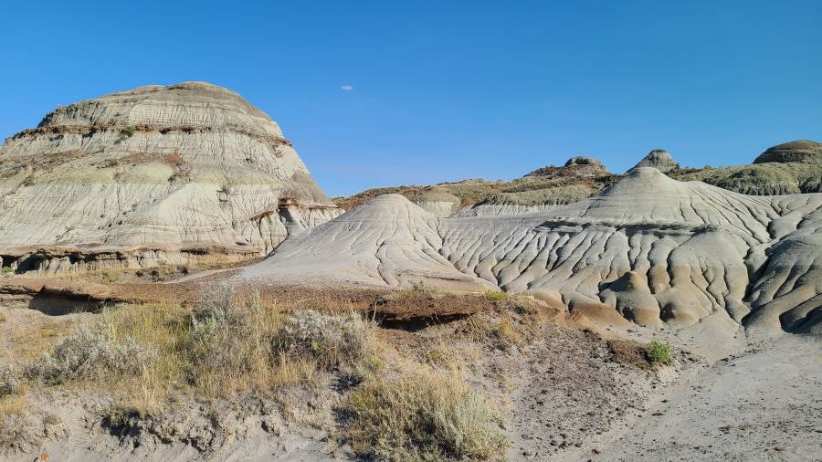 Calgary_Dinosaur_Provincial_Park_2