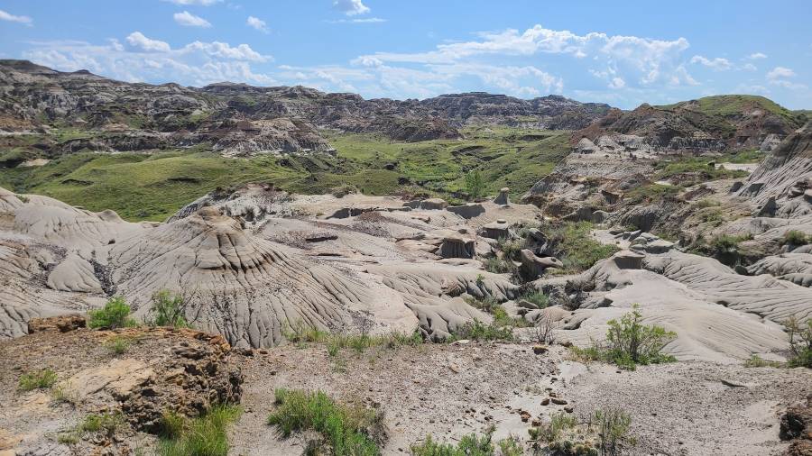 Calgary_Dinosaur_Provincial_Park_3