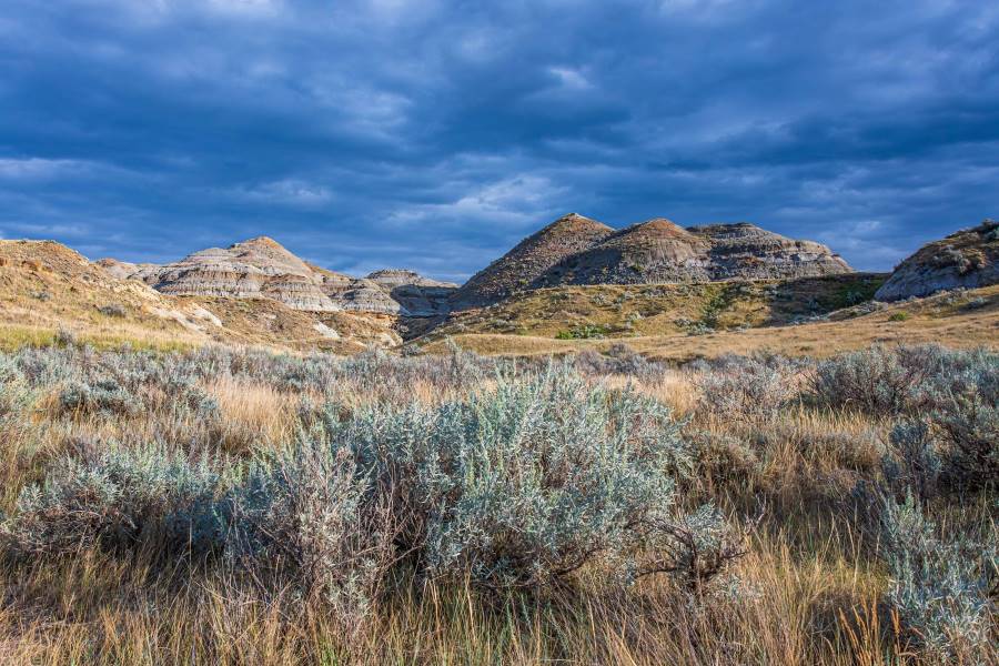 Calgary_Dinosaur_Provincial_Park_4