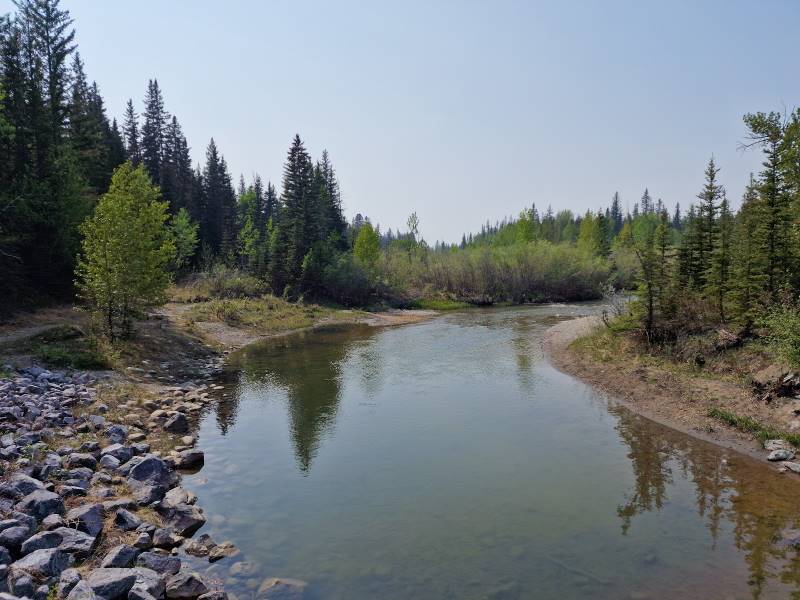 Calgary_Fish_Creek_Provincial_Park_3