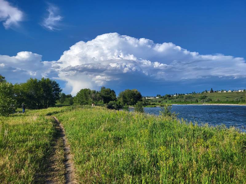 Calgary_Fish_Creek_Provincial_Park_5