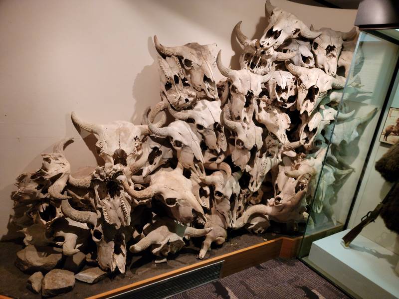 Calgary_Head-Smashed-In_Buffalo_Jump_World_Heritage_Site_6