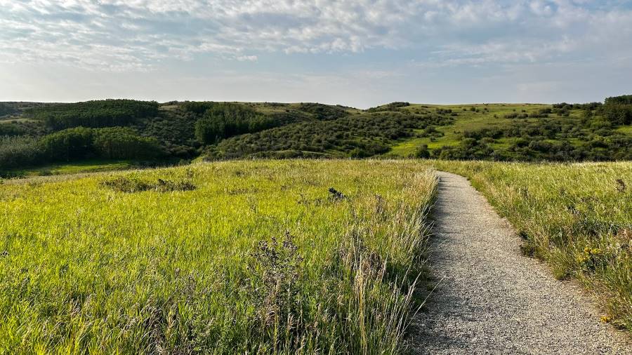 Calgary_Nose_Hill_Park_2