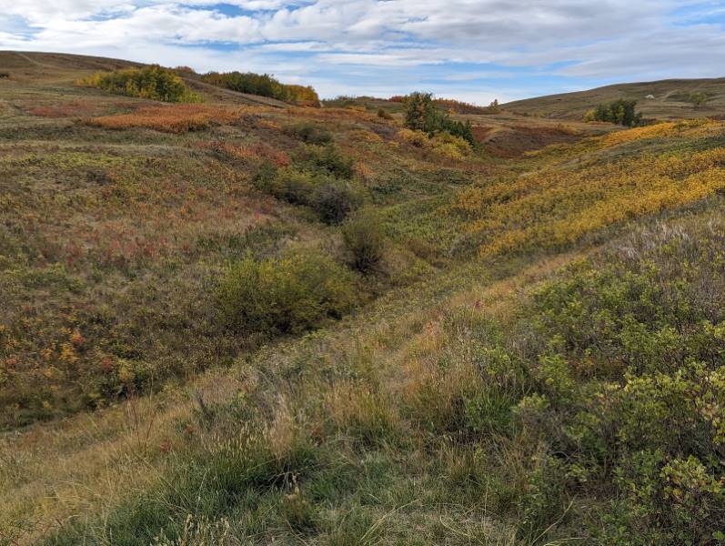 Calgary_Nose_Hill_Park_3