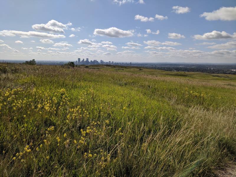 Calgary_Nose_Hill_Park_6