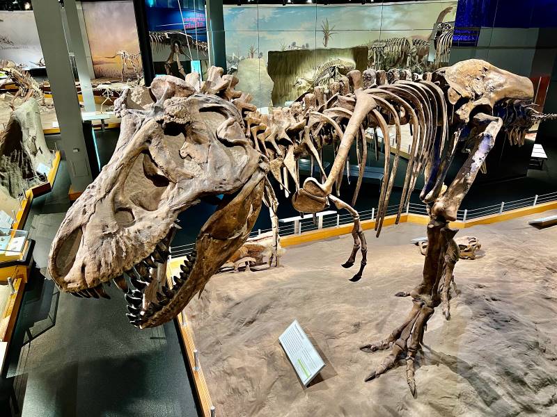 Calgary_Royal_Tyrrell_Museum_2