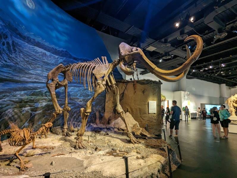 Calgary_Royal_Tyrrell_Museum_6