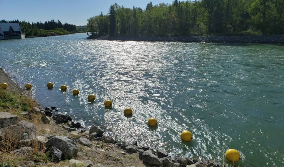 Calgary_Bowness_Park_6