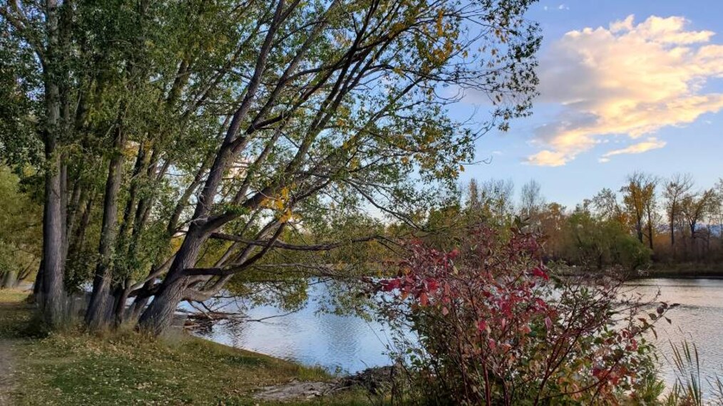 Calgary_Carburn_Park_7