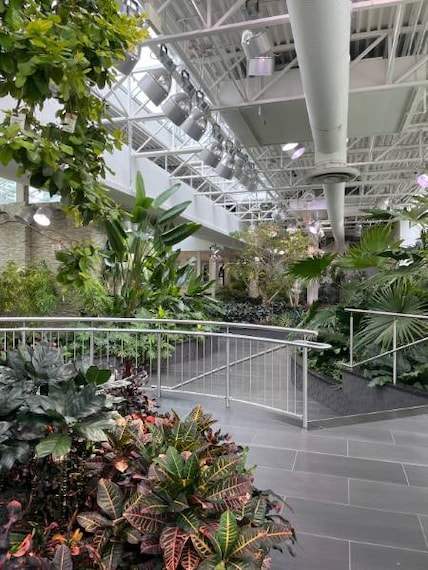 Calgary_Devonian_Gardens_2