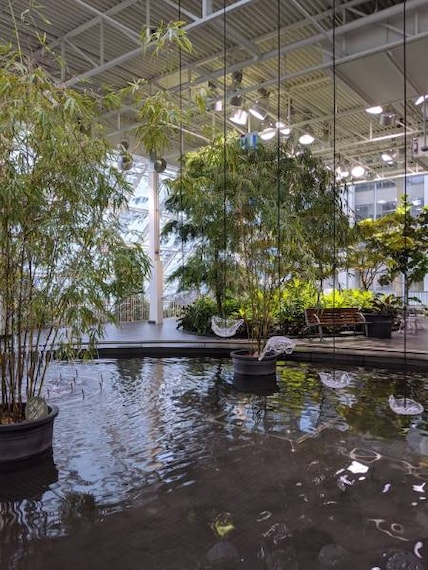 Calgary_Devonian_Gardens_3