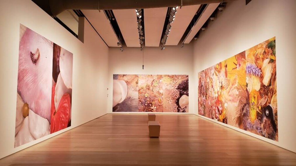 Calgary_Esker_Foundation_7