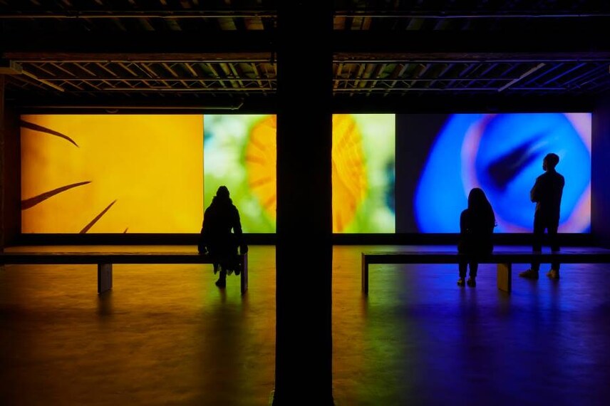 Calgary_Esker_Foundation_9