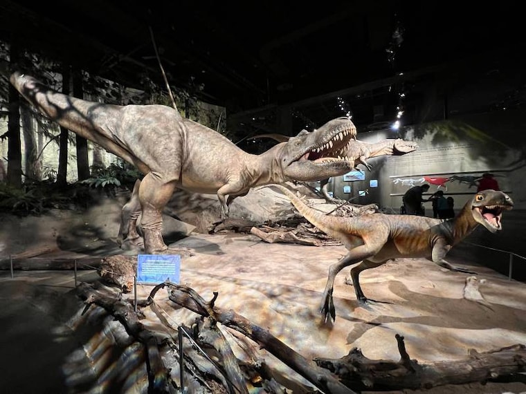Calgary_Royal_Tyrrell_Museum_1