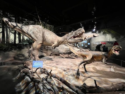 Royal Tyrrell Museum