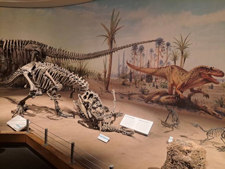 Calgary_Royal_Tyrrell_Museum_3