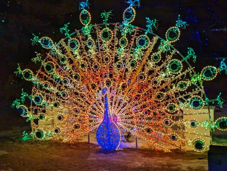 Calgary_Spruce_Meadows_6