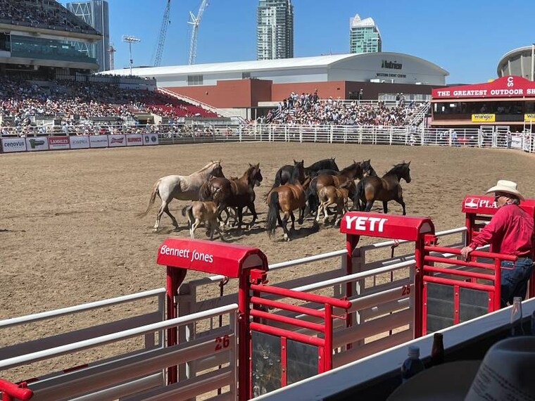 Calgary_Stampede_3