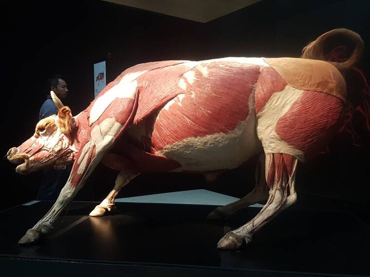 Calgary_TELUS_Spark_Science_Centre_5