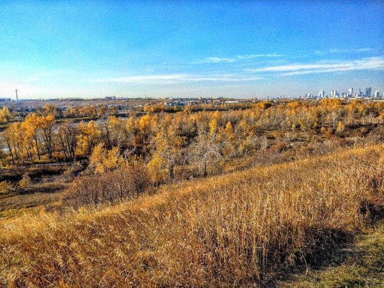 Calgary_The_Bow_Pathway_3