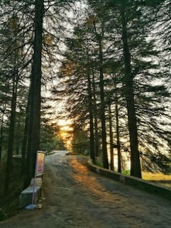 Chail Trek