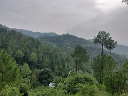 Chail Wildlife Sanctuary