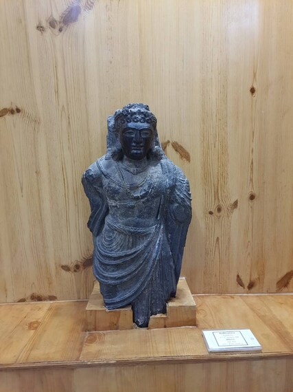 bhuri_singh_museum_chamba_7