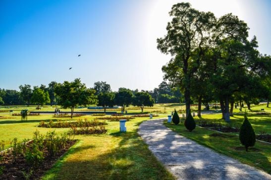 chandigarh_zakir_hussain_rose_garden