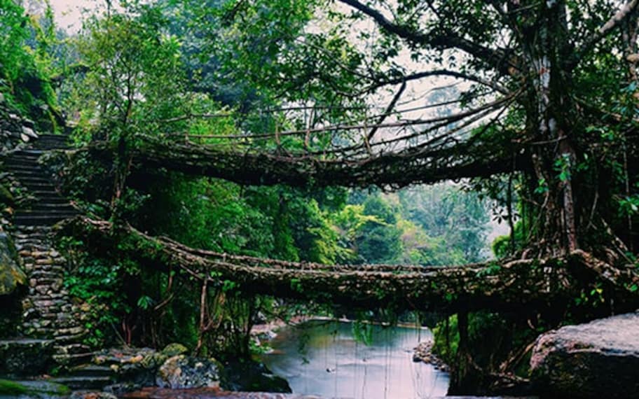 Cherrapunji Double Decker Living Root Bridges Landscape Image